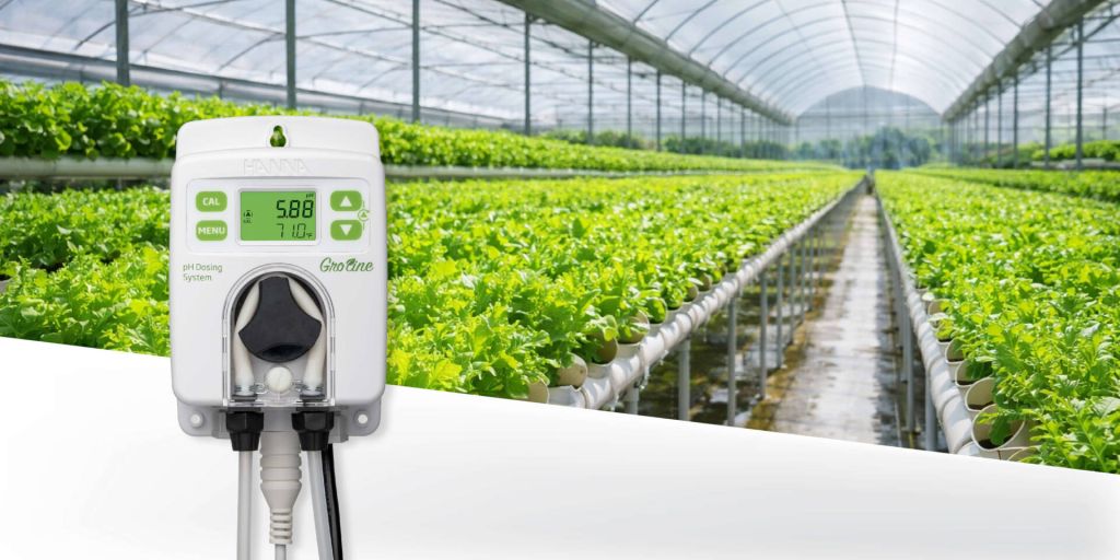 boletines junio 2026 HI981412 1 jpg