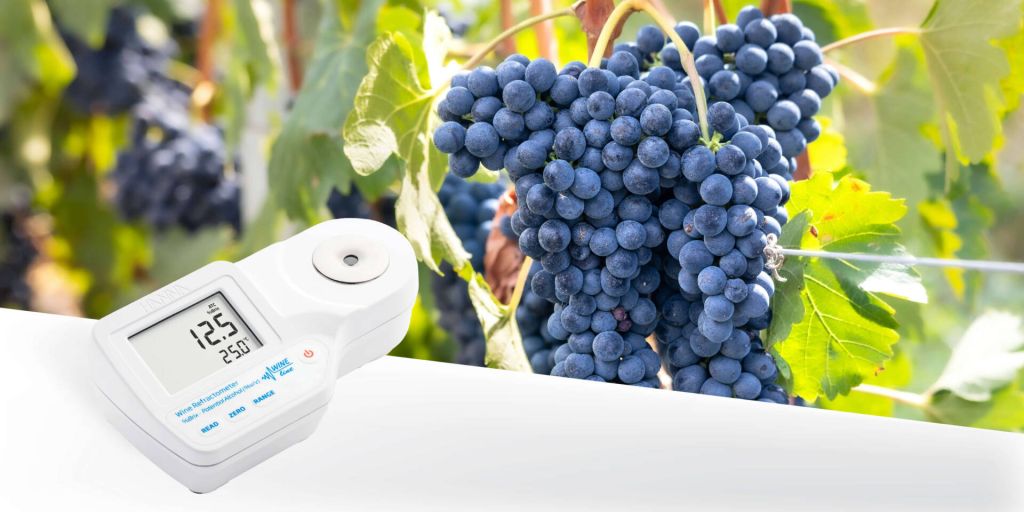 boletines junio 2026 HI96813 jpg