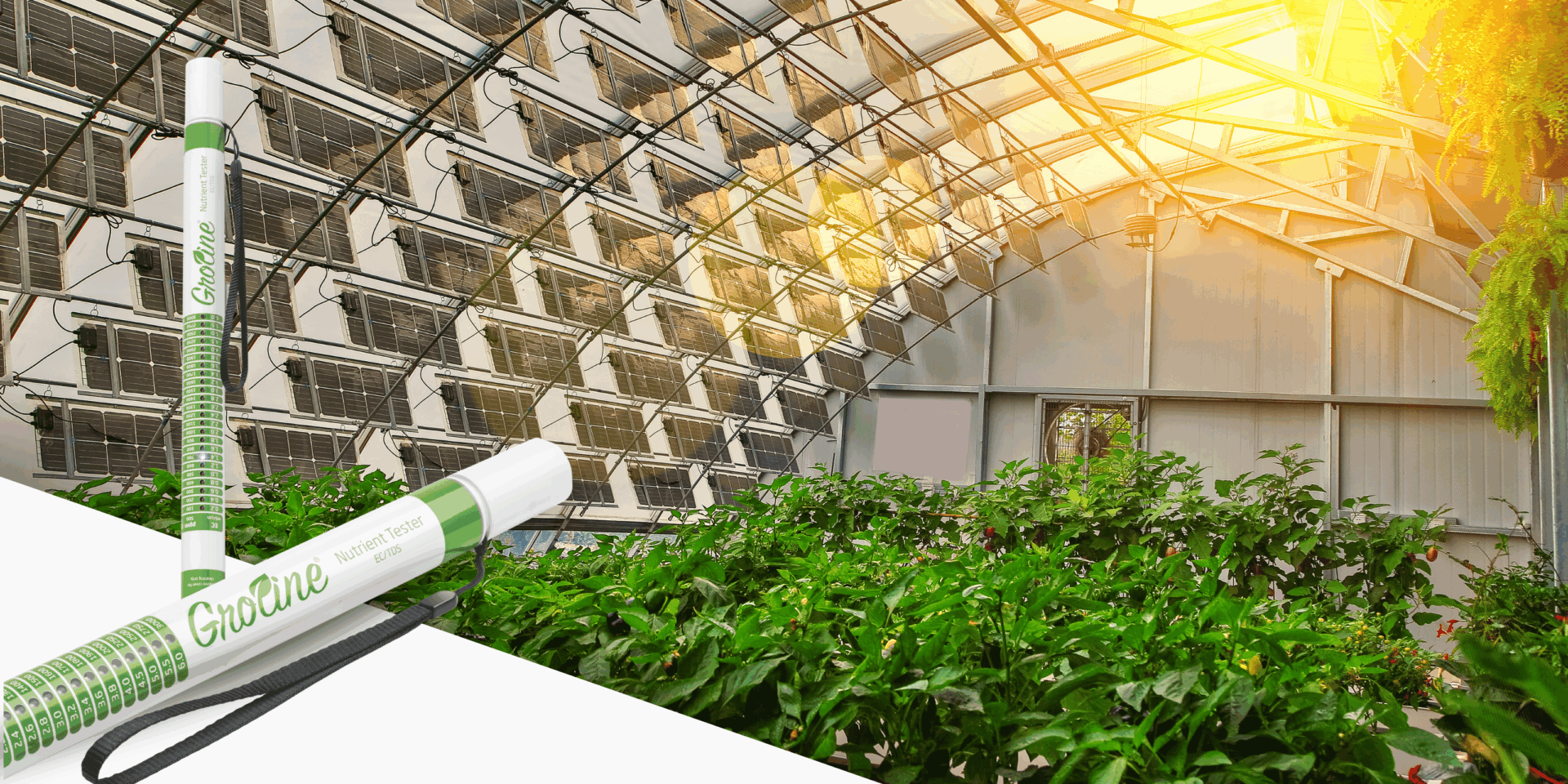 Medicion de la calidad del agua en cultivos hidroponicos png