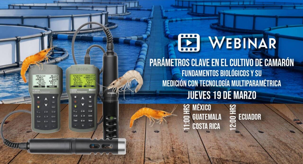 ls project 16 slide 1