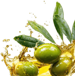 webinar febrero 26 FILIALES aceitunas