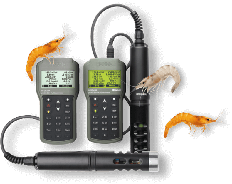 webinar marzo 26 FILIALES equipo